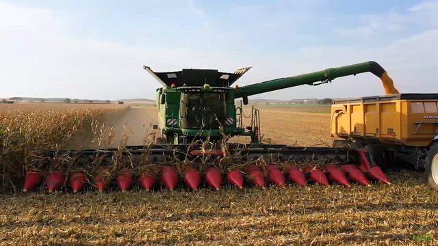 CORN HARVEST IN AGROSERVIS VIŠNOVÉ | 3x JOHN DEERE COMBINE | JOHN DEERE 8345R