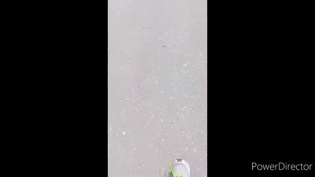 МОЁ 17-ЛЕТИЕ? смотреть онлайн