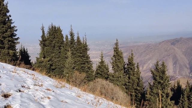 Поход на Волчью Гору смотреть онлайн