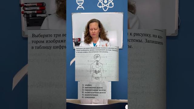 Разбор задание ОГЭ ( анатомия). Подписывайся на канал📚 смотреть онлайн