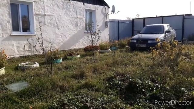 Самое ГЛАВНОЕ оставаться ЧЕЛОВЕКОМ ?А за чем, да почему...отвечаю на вопрос ☺️Жизнь в деревне!!! смотреть онлайн