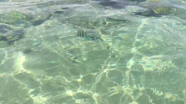 Красное море Хургада отель Menaville safaga 06.2015 смотреть онлайн