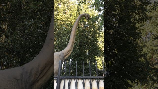 iPhone 8 - Тест камеры устройства (Фото & видео 4K)