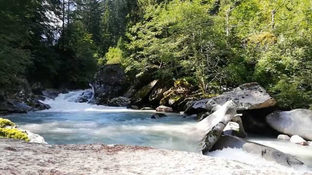 УСПОКАИВАЮЩИЕ ЗВУКИ ПРИРОДЫ / ПТИЦЫ И ШУМ ВОДЫ смотреть онлайн