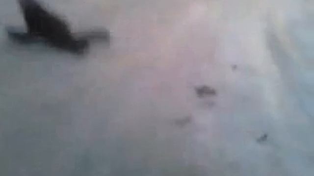 автомобильное училище зона смеха 2 дробь 1 смотреть онлайн