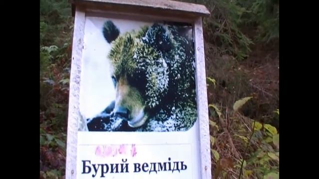 Синевирская Поляна, озеро Синевир смотреть онлайн