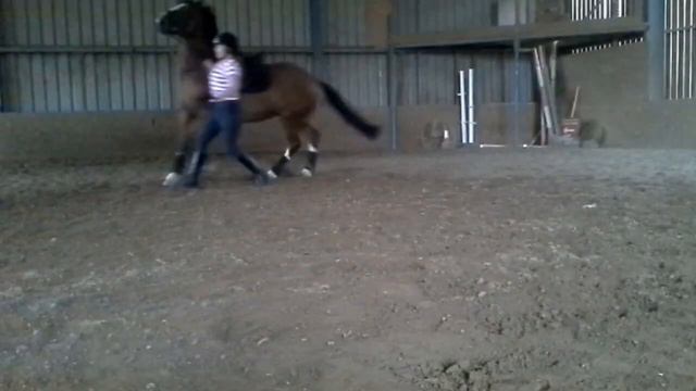 horse riding fails of 2014 смотреть онлайн