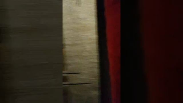 Недорогие вентиляторы для сушки ковров телефон 8-800-500-25-04 смотреть онлайн