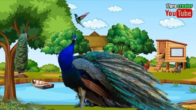 Nama dan mengenal macam hewan unggas||animasi video pembelajaran untuk anak. смотреть онлайн