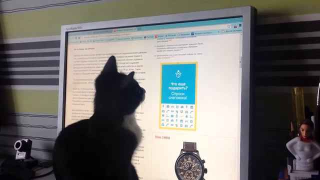 Кот и реклама смотреть онлайн