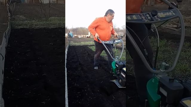 CAIMAN VARIO 70S TWK+ культивация