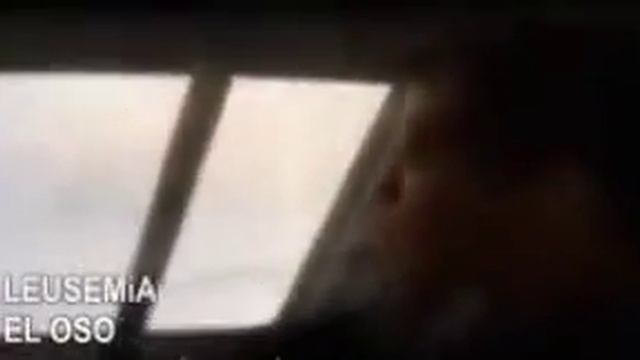 EL OSO смотреть онлайн