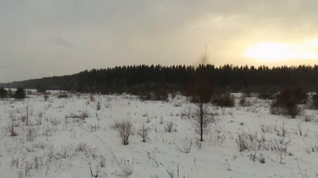 Река Тихвинка и окресности. Квадрокоптер Parrot bebop. смотреть онлайн