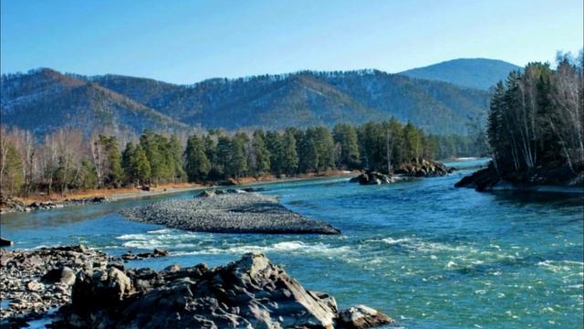 Маленькая девочка нашла в лесу крохотного волчонка, его бездыханная мать лежала рядом... Она взяла смотреть онлайн