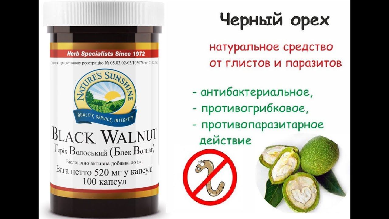 Черный грецкий орех НСП, Смирнова Н.П.