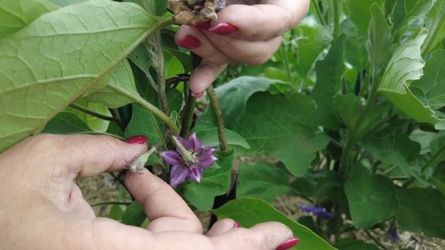 Украшения из природных камней для дома