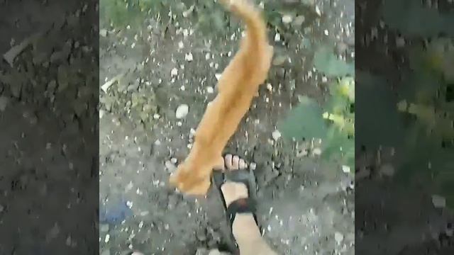 Как юла,эх молодость рыжая ))) (1).mp4 смотреть онлайн