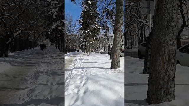 Обзор локации Карла Маркса 7 Ставрополь смотреть онлайн
