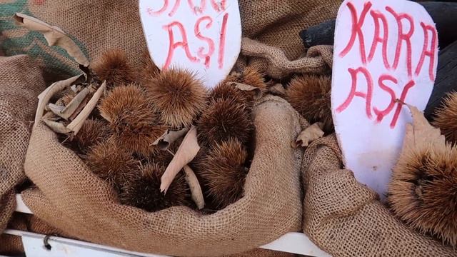 Гемлик в декабре.Турецкие сыры и цены на них. смотреть онлайн