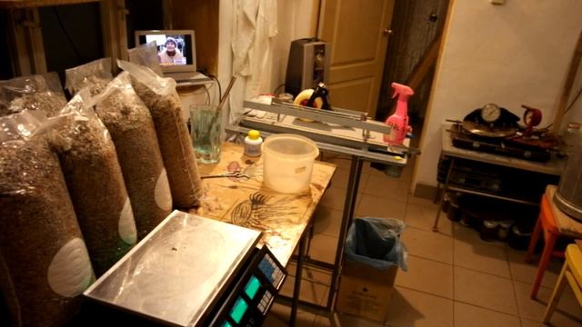 how to make a mycelium как сделать мицелий вешенки смотреть онлайн