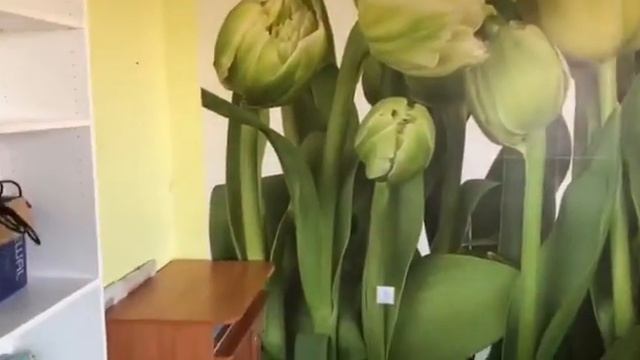 1 комнатная квартира в Буграх смотреть онлайн