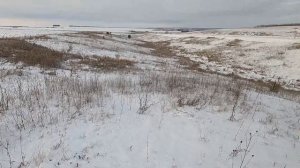 ОХОТА НА ЗАЙЦА С ТОЗ-34! КУПИЛ НИВУ И СРАЗУ ПОЕХАЛ НА ОХОТУ НА ЗАЙЦА!