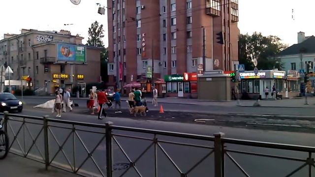 Псы переходят дорогу смотреть онлайн