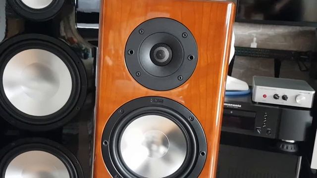 #Canton Reference 9.2dc no Subwoofer смотреть онлайн