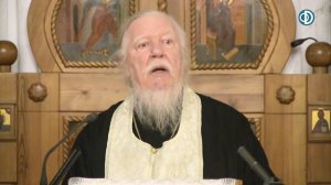 Проповедь о безумии зла и о Божьем благоволении к человеку. Димитрий Смирнов