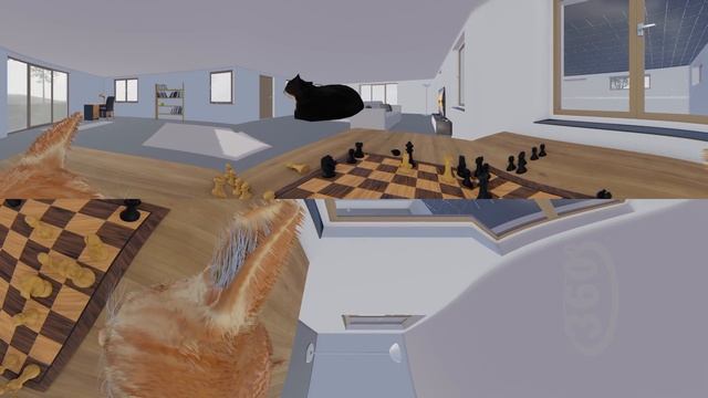 Chess With Maxwell The Cat in 360° VR/4K смотреть онлайн