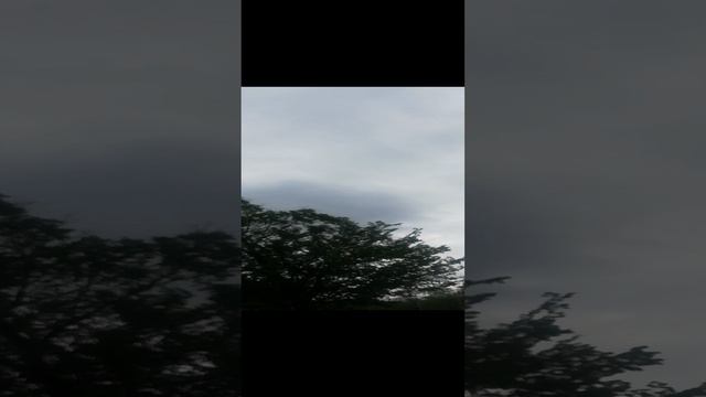 Сегодня дождь. ?