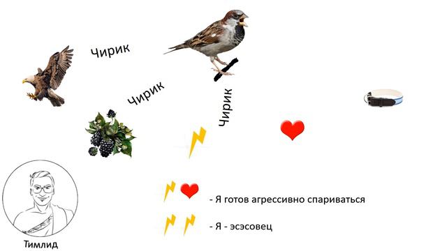 Чем язык человека и язык животных принципиально отличаются. смотреть онлайн