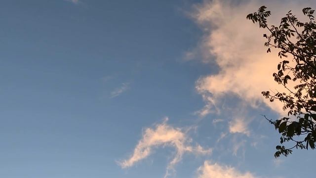 6 июня народный праздник Симеонов день. Народные приметы и традиции. Что нельзя делать в этот день. смотреть онлайн