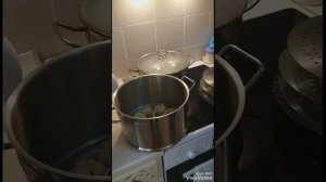 Обзор кастрюли для приготовления мант. Мантоварка. Приготовление мант в мантоварке