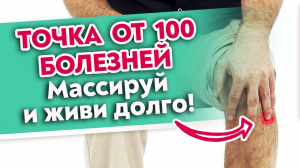 Точка долголетия от ВСЕХ болезней! Как найти Цзу-сань-ли? Точка от 100 болезней.