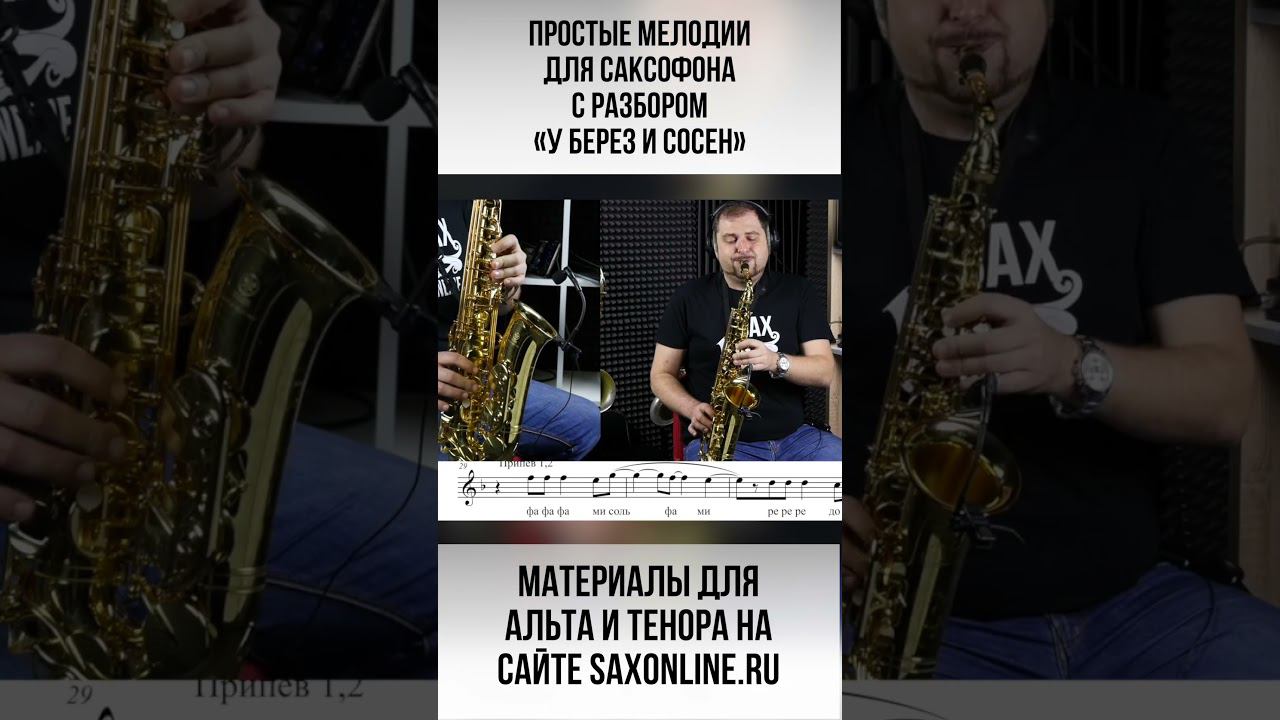 У берез и сосен смотреть онлайн