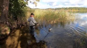 СЕМЬЯ ИЗ ЛЕСА: Переезжаем на озеро Кривое (Беларусь, Витебска обл, Ушачский р-н)