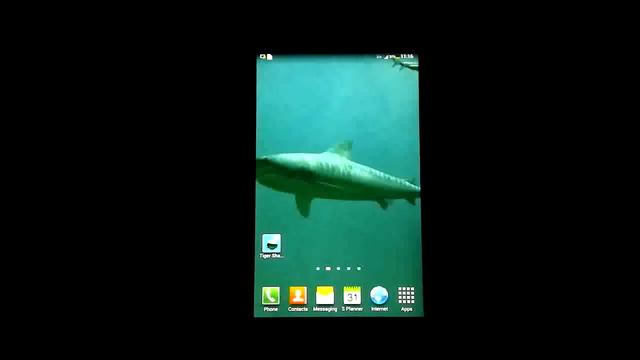Tiger Sharks 3D Live Wallpaper смотреть онлайн