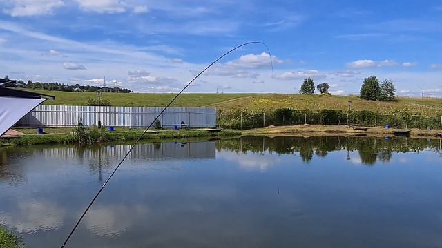 Ловим карпа на херабуну - насадки красная сакура, зеленый бамбук и белый туман смотреть онлайн