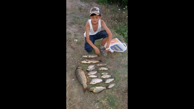 Река Кура, рыбалка - июль 2016 {  Balıq Ovu, Kür çayı, Iyul 2016 }