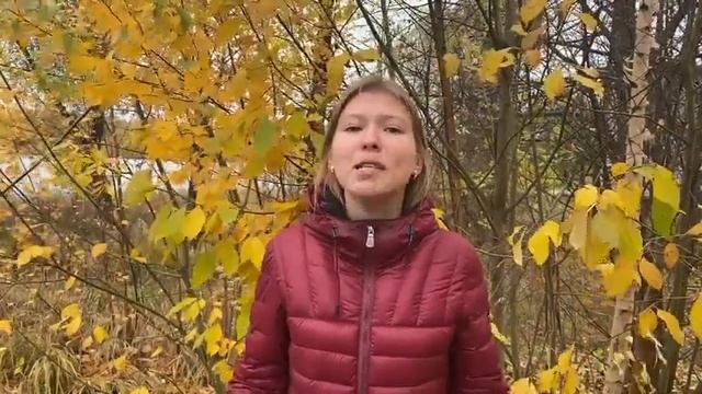 Бахмицкая София 11 класс стихотворение Юлии Летовой "Россыпи листьев из пригоршней осени" смотреть онлайн