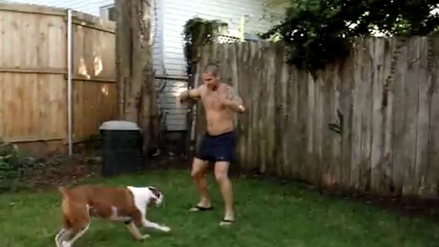 Raleigh's Super Jump (Boxer Dog) смотреть онлайн