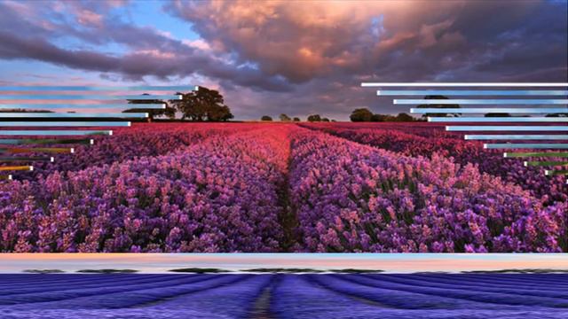 Все цвета радуги на цветочных полях...СКАЗОЧНАЯ МЕЛОДИЯ - Мелодия любви смотреть онлайн