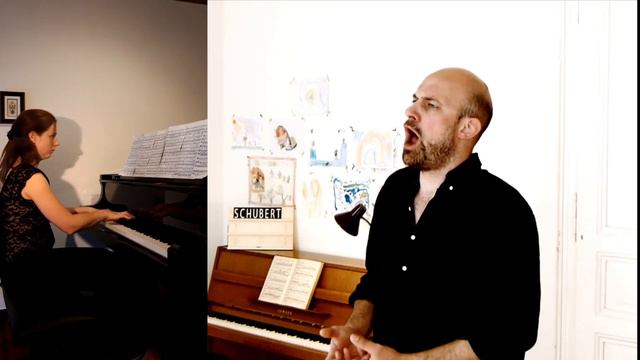 Franz Schubert Winterreise "Erstarrung" - David Jerusalem & Sylvie Decramer смотреть онлайн