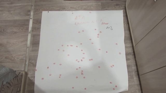 ATA Pegasus 760 и Stoger M3000 дробь 0 к Калашников смотреть онлайн