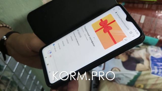 5 способов купить корм для собак смотреть онлайн