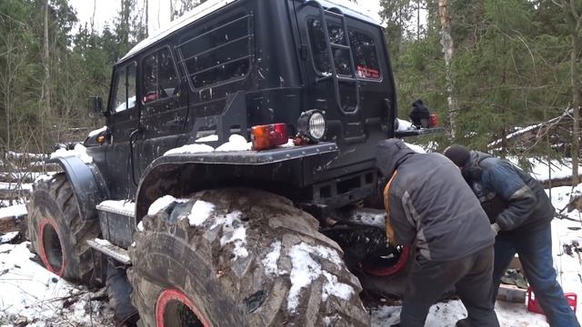 Чудо в лесу! Монстр на колёсах! смотреть онлайн