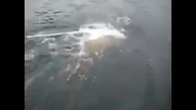 Смешная рыбалка. смотреть онлайн