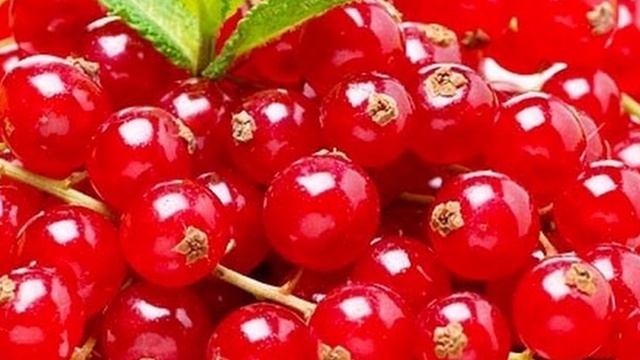 Красная Смородина ? Сахарная ? смотреть онлайн