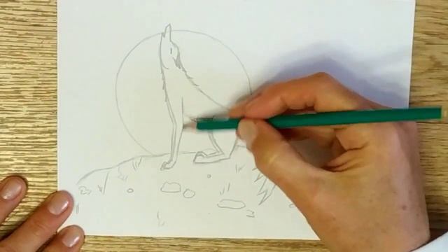 ВОЛК. Как нарисовать волка карандашами. Пошаговое рисование. Рисуем вместе смотреть онлайн